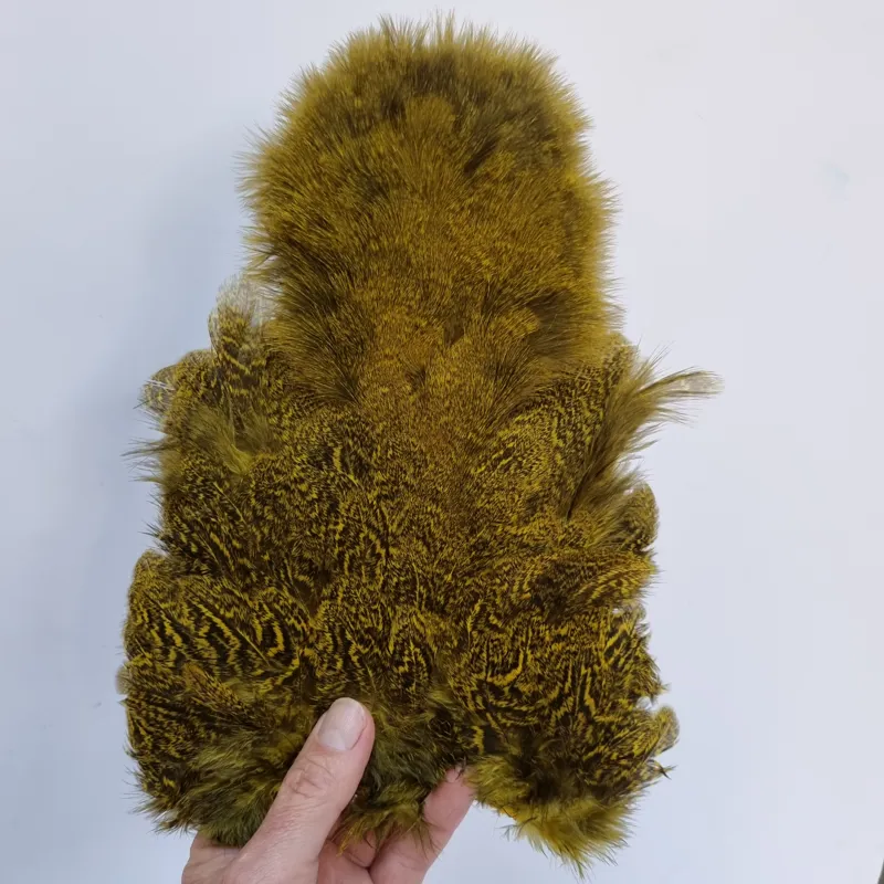 Whiting Coq de Leon Hen Soft Hackle with Chickabou in Speckled Yellow-4